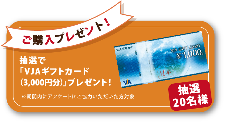 ご購入プレゼント!抽選で「VJAギフトカード(3,000円分)」プレゼント!※期間内にアンケートにご協力いただいた方対象